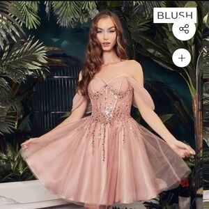 Blush dress
